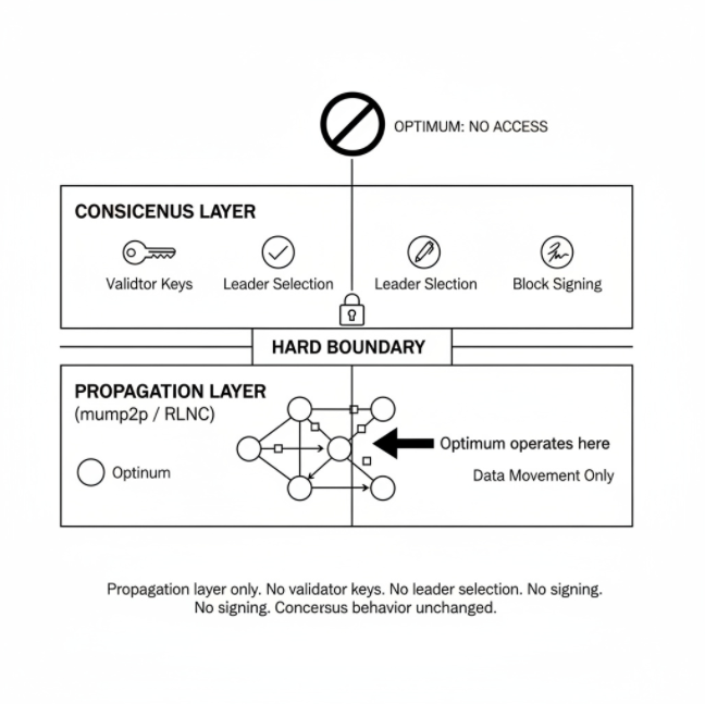 An architectural diagram illustrating 'OPTIMUM: NO ACCESS' separating the 'CONSCENUS LAYER' from the 'PROPAGATION LAYER (mump2p / RLNC)'.