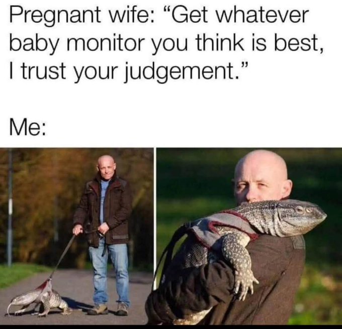 A meme captioned 'Pregnant wife: "Get whatever baby monitor you think is best, I trust your judgement." Me:' showing a man walking a large lizard on a leash and carrying it.