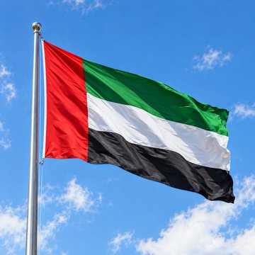 The image shows the flag of the United Arab Emirates (UAE) waving against a bright blue sky, with its distinctive red vertical stripe and horizontal green, white, and black bands. This relates to the accompanying post about the UAE's efforts to integrate Avalanche blockchain technology into the UAE PASS Digital Vault, which serves over 12 million users nationwide.