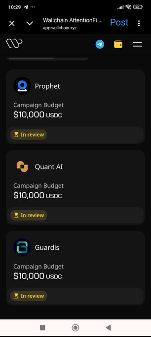 The image shows a phone screen with three different posts displayed, each with a different color background. The first post has a blue background, the second one has a green background, and the third one has a white background. Each of these posts contains text that reads "I keep Checking every seconds to see if I've been accepted on @wallchain campaign, after seeing some people post that they've been accepted". 

The main focus of this image is the three posts displayed on the phone screen and their respective colors. The first post has a blue background with white text, the second one has a green background with white text, and the third one also has a white background with black text. These posts seem to be related to a campaign or event that involves checking for acceptance status.