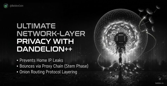 Promotional graphic for Beldex (@BeldexCoin) featuring the tagline 'ULTIMATE NETWORK-LAYER PRIVACY WITH DANDELION++' and bullet points highlighting 'Prevents Home IP Leaks', 'Bounces via Proxy Chain (Stem Phase)', and 'Onion Routing Protocol Layering' alongside an artistic dandelion transforming into a microchip.