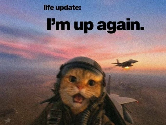 The image features a cat wearing a pilot's helmet and goggles, sitting inside an airplane cockpit with its mouth open as if pretending to fly. The caption reads "Life update: I'm up again." This suggests that someone has updated their profile picture to include this humorous scene involving the cat in a pilot's hat.