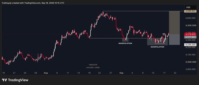 A TradingView chart of XAUUSD (gold) shows recent price action around $4,377.92, with two labeled "MANIPULATION" zones near key support levels around $4,236 and a horizontal resistance line near $4,600. The chart illustrates why the poster is long gold, as price appears to be consolidating near support with potential for upward movement.