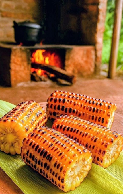 The image features a plate of corn on the cob with charred edges, placed near an open fire. The corn appears to be grilled or roasted, giving it a delicious smoky flavor. In the background, there are two pots - one black and one brown - possibly containing more food items for cooking. The scene suggests that someone is preparing a meal using traditional methods in front of a cozy fireplace.