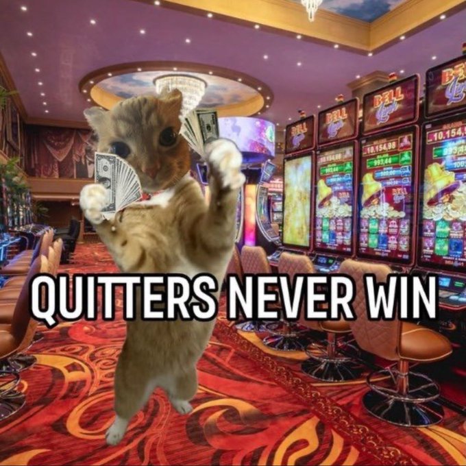 A meme image showing a cat standing on its hind legs in a casino, holding fanned-out dollar bills, with the caption 'QUITTERS NEVER WIN' overlaid at the bottom.