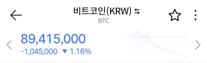 A mobile screenshot shows the Bitcoin (BTC) price in Korean Won at ₩89,415,000, down ₩1,045,000 (1.16%), with a declining price chart visible—contextualizing the poster's concerns about Bitcoin security and the risks of personal wallet storage.