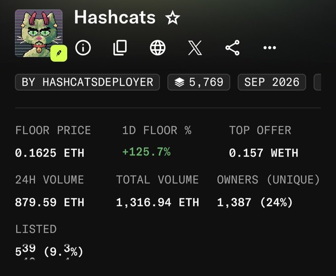 A NFT stats dashboard for "Hashcats" (deployer: hashcatsdeployer) showing a floor price of 0.1625 ETH with a +125.7% 1-day gain, 879.59 ETH 24-hour volume, and 1,387 unique owners out of 5,769 supply. The image supports the post's claim of a "2x" surge, visually confirming the dramatic 125.7% floor price increase.