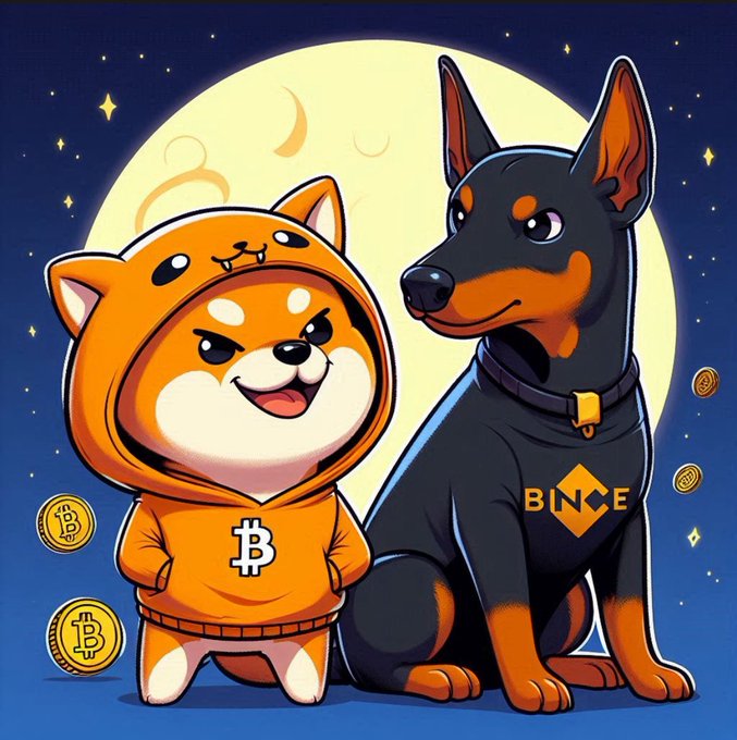A cartoon illustration features a Shiba Inu wearing a hoodie with a Bitcoin 'B' symbol next to a Doberman with 'BNCE' (likely BNCE/Binance) on its chest, set against a full moon backdrop with floating gold Bitcoin coins.