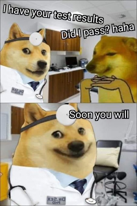 A 'Dr. Doge' two-panel meme shows the Doge character as a doctor telling a patient: 'I have your test results... Did I pass? haha' and 'Soon you will.'