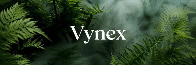 The word "Vynex" appears in white serif text centered against a misty background of green ferns, visually evoking the natural growth metaphor of an early-stage project. The imagery reinforces the post's message about $VYNEX emerging as a promising opportunity in its early stages.