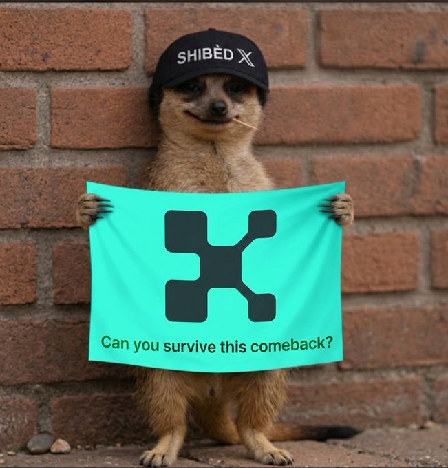 A meerkat wearing a 'SHIBĘD X' cap holds up a teal sign with a connected node symbol and the text 'Can you survive this comeback?'.