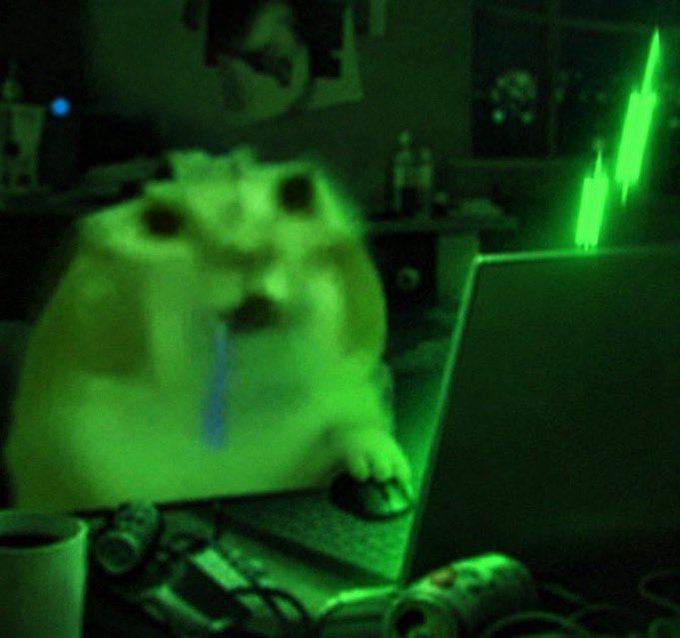 A blurry dog drools in green-tinted lighting while staring at a laptop screen, matching the "$drooling" post with its visible stream of drool hanging from its mouth as it gazes at the monitor.