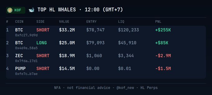 A cryptocurrency trading dashboard titled 'TOP HL WHALES' showing BTC and ZEC positions with their PNL values.