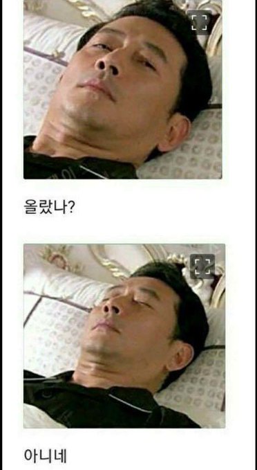 A two-panel meme featuring an Asian man looking at the camera with a deadpan expression in both frames, with Korean text reading "올랐나?" (Did it go up?) in the first frame and "아니네" (Nope) in the second frame.