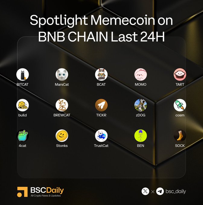 A promotional graphic titled 'Spotlight Memecoin on BNB CHAIN Last 24H' by BSCDaily, displaying a grid of 15 circular memecoin logos including BITCAT, MarsCat, BCAT, MOMO, TART, BREWCAT, TICKR, zDOG, cosm, 4cat, Stonks, TrustCat, BEN, and SOCK.
