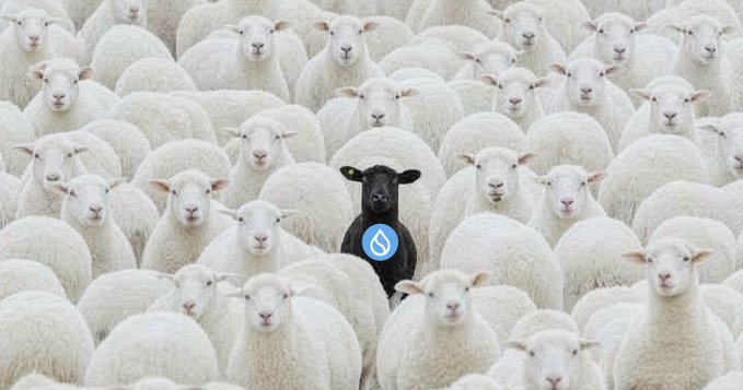 A flock of white sheep surrounds a single black sheep wearing a blue Sui (SUI) cryptocurrency logo.