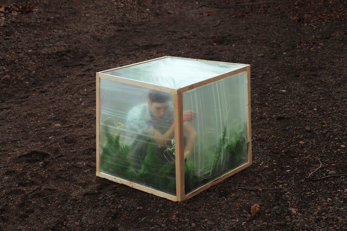 An artistic photograph showing a person crouched inside a transparent cube filled with ferns and covered in plastic wrap, sitting on bare dirt ground.