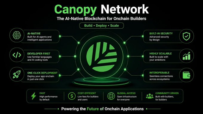 A promotional infographic for the **Canopy Network** ($CNPYNetwork), described as "The AI-Native Blockchain for Onchain Builders" with the tagline "Build • Deploy • Scale." The graphic features a central green Canopy logo surrounded by six key feature boxes—AI-Native, Developer First, One-Click Deployment, Built-in Security, Highly Scalable, and Interoperable—alongside bottom benefits (Fast, Cost-Efficient, Global Access, Community Driven) and the footer "Powering the Future of Onchain Applications," visually reinforcing the post's message that Canopy simplifies AI-assisted blockchain development for easy, rapid onchain app creation.