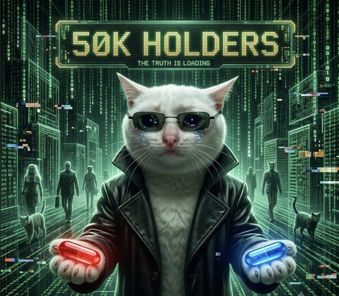 A digital art piece features a white cat wearing sunglasses and a leather jacket holding red and blue pills, with a sign reading "50K HOLDERS - THE TRUTH IS LOADING" against a Matrix-like city backdrop.
