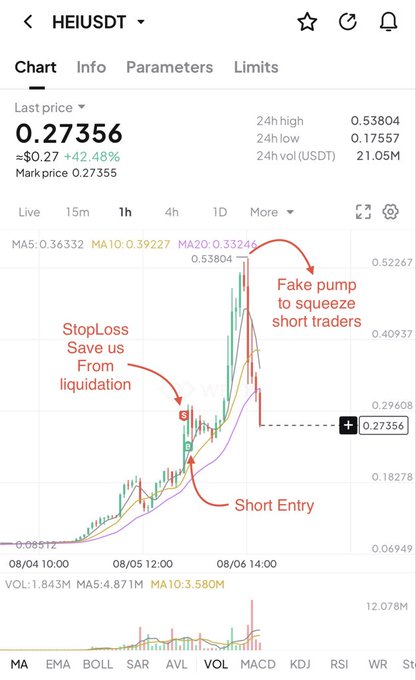 The image shows a 1-hour candlestick chart of the $HEI/USDT trading pair, with the last price at 0.27356 (up 42.48%) and annotations highlighting a "StopLoss Save us From liquidation" point, a "Short Entry" arrow, and a "Fake pump to squeeze short traders" label near the 24-hour high of 0.53804. The annotations illustrate the post's message about using a stoploss to survive crypto trading, showing where the short entry was placed below resistance and how a stoploss protected the position from the subsequent fake pump that liquidated other short traders.