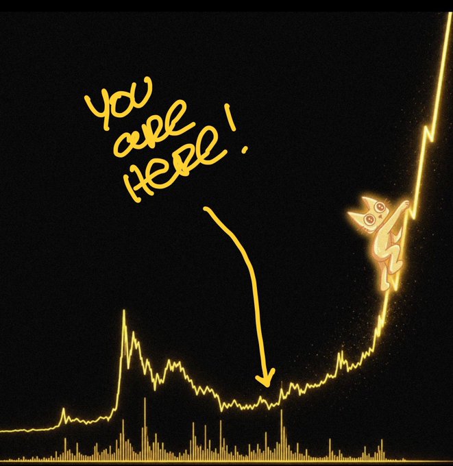 A yellow line graph rises sharply on a black background with the handwritten text 'YOU ARE HERE!' and an arrow pointing to a dip, while a cartoon cat climbs up the steep rising line.