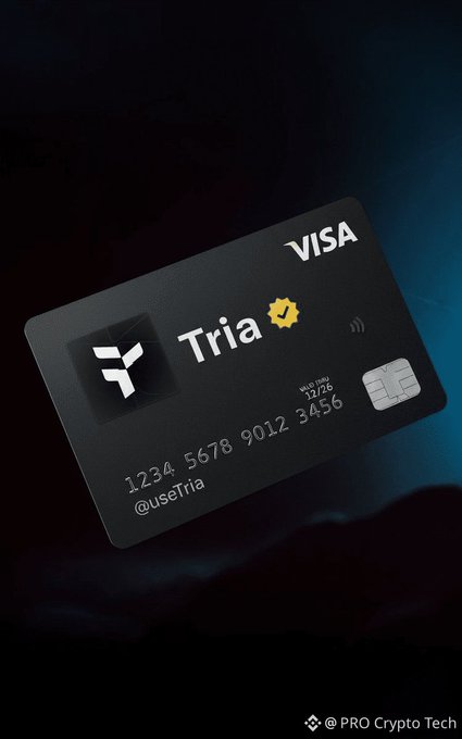 三い用にしているVisa credit card, black and white with a yellow "Visa" logo and number.