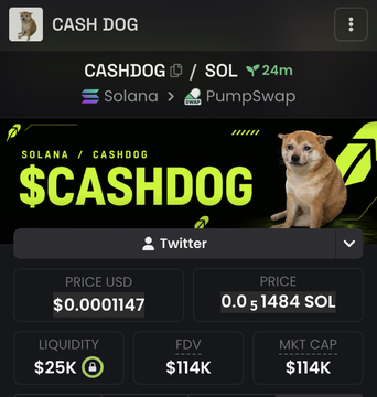 The image shows a token page for $CASHDOG on the Solana network via PumpSwap, displaying a current price of $0.0001147 (or 0.0001484 SOL), a market cap of $114K, and liquidity of $25K—just hours after launch. It visually reinforces the post's claim that the token is still in its early "100k market cap" phase, making it appear as a fresh opportunity compared to $CASHCAT's much larger valuation.
