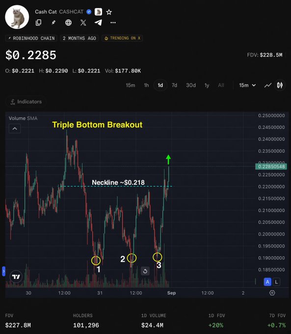A trading chart for Cash Cat (CASHCAT) on Robinhood Chain showing a 'Triple Bottom Breakout' pattern with neckline at ~$0.218, current price $0.2285, and FDV of $228.5M.