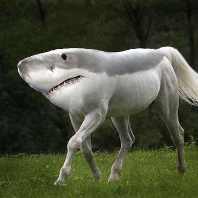 A surreal white horse with a shark's head and teeth walks across a grassy field, set against a dark forest background.