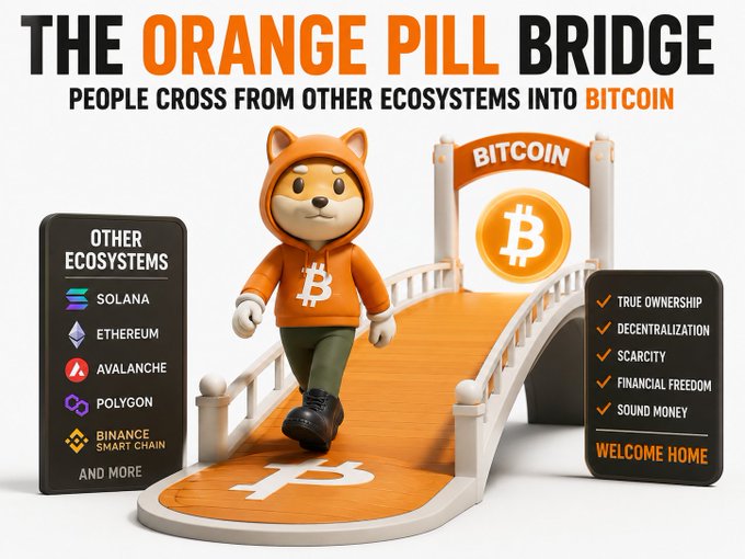 A graphic titled 'The Orange Pill Bridge' depicting a cartoon dog in a Bitcoin hoodie crossing a bridge labeled 'Bitcoin,' listing other ecosystems like Solana, Ethereum, Avalanche, Polygon, and Binance Smart Chain, with benefits including 'True Ownership' and 'Decentralization.'