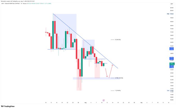 A TradingView candlestick chart for ZIM (ZIM Integrated Shipping Services) on August 11, 2024, showing a descending triangle pattern with red downward arrows indicating a bearish projection toward the 0.786 Fibonacci level near $164.50.