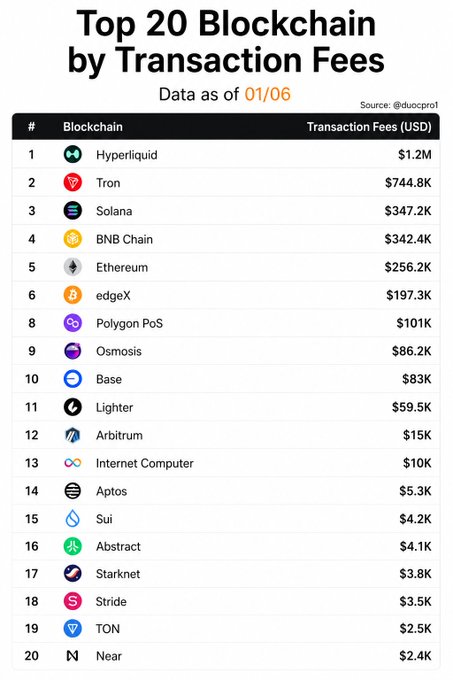 A table with a ranking system for cryptocurrency transactions, placed over a white background. At the top of the table are the terms "Top 20 Blockchain by Transactions fees" and "Data as of 01/06". The rest of the rows show various types of cryptocurrencies in descending order of fees paid for transactions on their respective platforms.