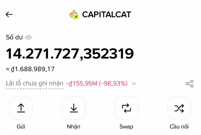 A crypto wallet interface for 'CAPITALCAT' showing a balance of 14.271.727,352319 (~$1.688.989,17) with an unrealized loss of -đ155,95M (-98,93%), featuring Send, Receive, Swap, and Bridge options in Vietnamese.