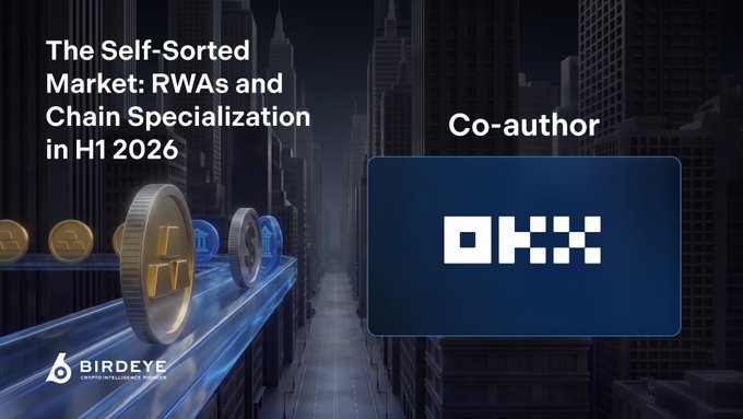 A promotional graphic titled "The Self-Sorted Market: RWAs and Chain Specialization in H1 2026" by Birdeye Crypto Intelligence, featuring a futuristic cityscape with cryptocurrency coins and OKX as the co-author.
