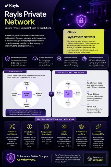 An infographic for "Rayls Private Network," described as a secure, private, compliant network for institutions, detailing its architecture components, how it works, and features like Private & Programmable Compliance and Scalable Performance.