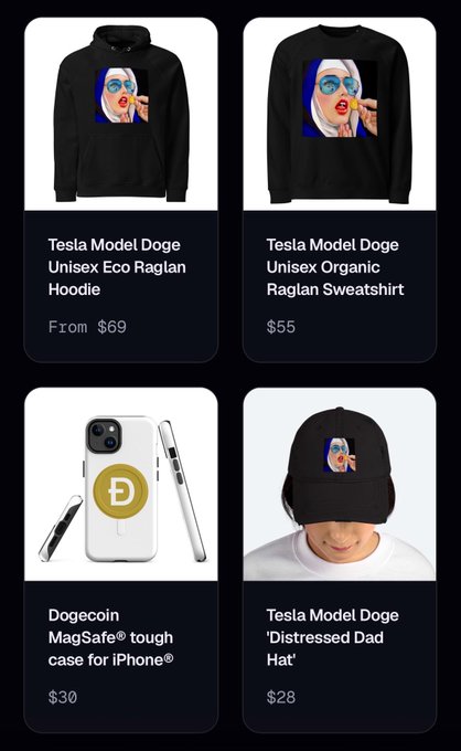 A crypto-themed merchandise store displays four products: a "Tesla Model Doge Unisex Eco Raglan Hoodie" ($69), a "Tesla Model Doge Unisex Organic Raglan Sweatshirt" ($55), a "Dogecoin MagSafe® tough case for iPhone®" ($30), and a "Tesla Model Doge 'Distressed Dad Hat'" ($28), all featuring Elon Musk's iconic Doge meme artwork. The image ties directly to the poster's announcement of accepting Dogecoin ($DOGE) as their exclusive payment method, showing their expanding lineup of Doge-branded apparel and accessories.