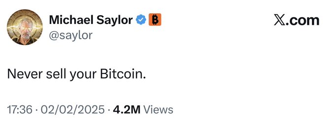 The image features a post by Michael Saylor, who has posted a message about Bitcoin. He is promoting Bitcoin as a means of payment for services or products offered by companies like McDonald's. The post includes an image of a person with a caption that reads "Never sell your Bitcoin". This message seems to be related to the post on social media platforms where Michael Saylor shares his thoughts and opinions about Bitcoin, encouraging others to consider using it as a form of payment.