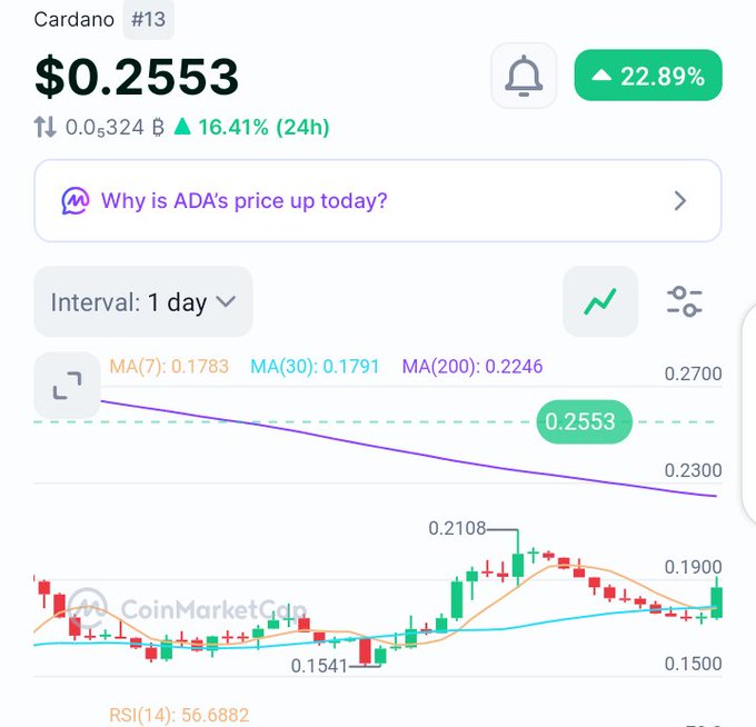 The image displays a CoinMarketCap price chart for Cardano (ADA) at $0.2553, showing a 22.89% surge and 16.41% gain over 24 hours, with the price breaking above its MA(200) at 0.2246. This bullish breakout aligns perfectly with the post's optimistic "GM" sentiment and confidence in Cardano's upward momentum.