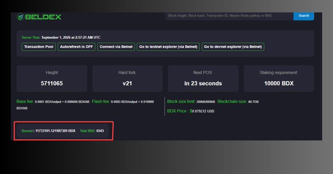A screenshot of a Beldex cryptocurrency explorer page showing block height 5711065, with 'Burned : 11733101.121987309 BDX' highlighted in a red box.