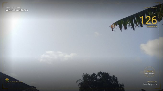 A minimalist landscape shot of a hazy sky with palm fronds in the upper right corner, styled as a 'PROOF OF WALK' with overlays reading 'verified outdoors', 'DAY 126', and 'Certified to touch grass'.