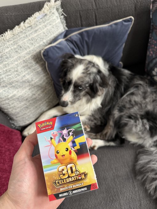 A person holds up a Pokémon TCG "30th Celebration Booster Bundle" featuring a rainbow Pikachu and Mewtwo on the box, ready to open alongside their blue merle Australian Shepherd lounging on the couch — perfectly matching the "rip and get cooked" energy of cracking packs on a Saturday.