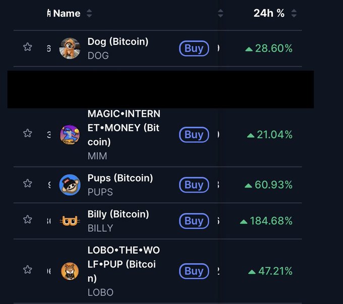 A list of Bitcoin Runes including DOG, MIM, PUPS, BILLY, and LOBO displaying significant 24-hour gains ranging from 21% to nearly 185%, with BILLY (Bitcoin) leading at +184.68%. The image illustrates the user's overnight gains referenced in their post about doubled Runes holdings.