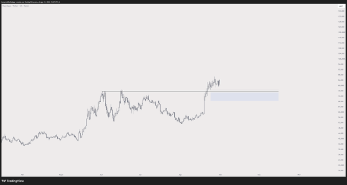 A TradingView chart of $HYPE/USD shows the price approaching and breaking above a key resistance level near $75, with a highlighted zone just below that level — consistent with the trader placing bids below $75 "just in case" of a pullback, and signaling they remain long with no short exposure.