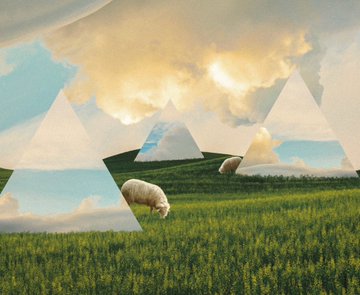 A surreal digital collage featuring white sheep grazing in a green grassy field surrounded by floating transparent pyramids under a cloudy sky.