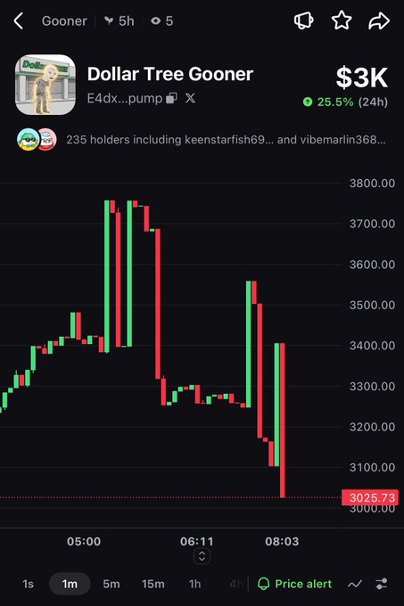 A cryptocurrency price chart showing the "Dollar Tree Gooner" (Gooner) token at $3K, up 25.5% in 24 hours, with a candlestick pattern showing significant volatility on the 1-minute timeframe.