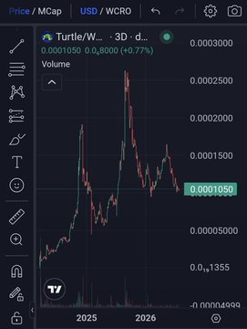 A cryptocurrency price chart from TradingView showing the Turtle/W... trading pair with a price of 0.0001050, displaying candlestick patterns from 2025 to 2026.