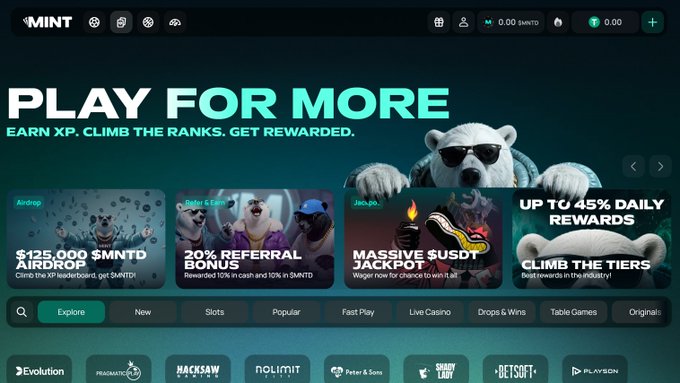 A screenshot from the "MINT" platform displaying "PLAY FOR MORE" with rewards including "$125,000 $MNTD AIRDROP," "20% REFERRAL BONUS," and "MASSIVE $USDT JACKPOT," featuring a polar bear mascot and game provider logos at the bottom.