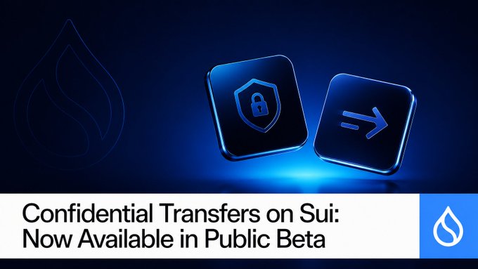 The image shows a blue square button with a lock symbol, accompanied by text that reads "Confidential transfers on Sui: Now Available in Public beta". The text also mentions that this feature is available for users who want more privacy while still maintaining transparency. This implies that the image is related to an advertisement or promotional material for a new feature on Sui Network Devnet (Public Beta), which allows users to securely transfer data without revealing their personal information.