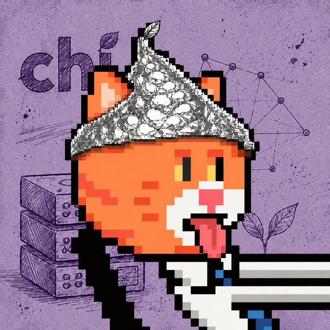 A pixel-art illustration of an orange cat character wearing a tinfoil hat, sticking out its tongue, against a purple background with constellation patterns and boxes labeled 'chi.'
