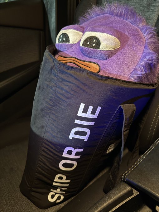 A purple fuzzy plush toy with large cartoon eyes peeking out of a blue Dunkin' insulated delivery bag labeled 'SHIP OR DIE' in white letters, sitting in a vehicle.